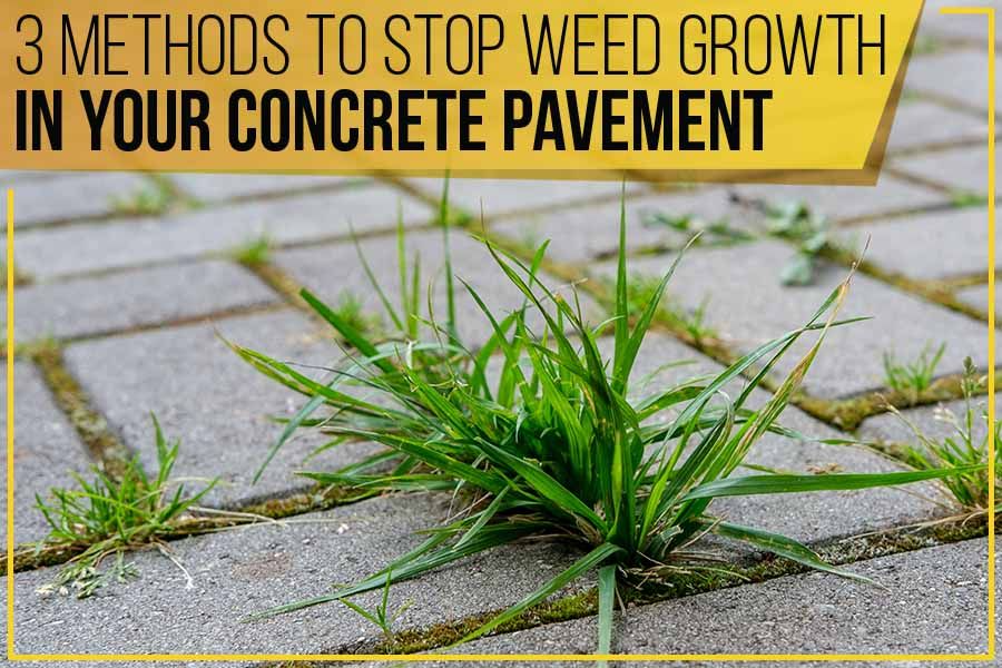 3 Methods To Stop Weed Growth In Your Concrete Pavement