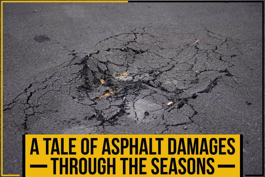 A Tale Of Asphalt Damages Through The Seasons